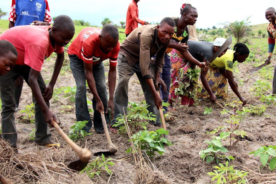 Agriculture Training project — DRC