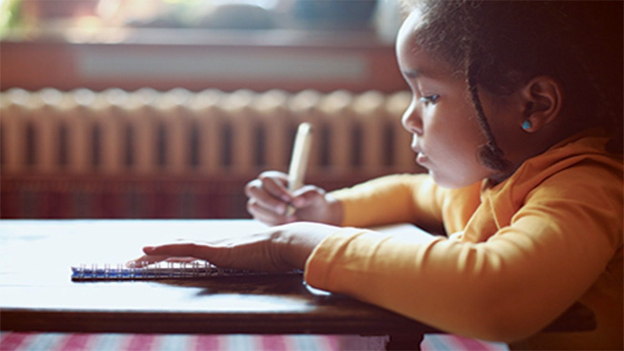 Digital Literacy Project — DRC